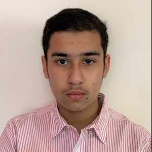 Sourin - Math tutor - Earley