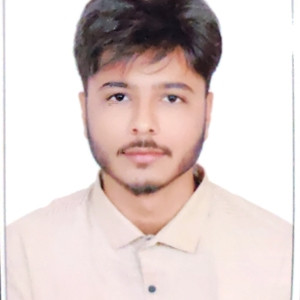 Krishna - Accounting tutor - Bengaluru