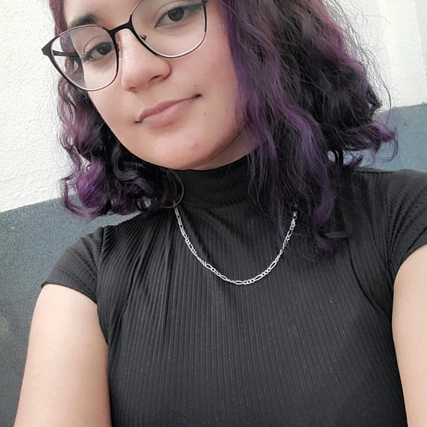 CRISTINA - Profesor de matemática - Mazatlán