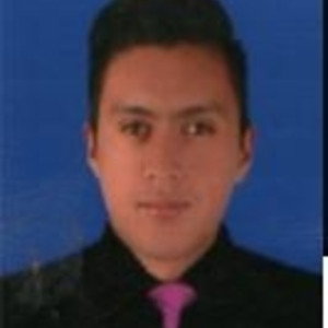 David - Profesor de matemática - Bogotá