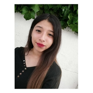 Javiera - Profesor de lenguaje y comunicación - Villa Alemana
