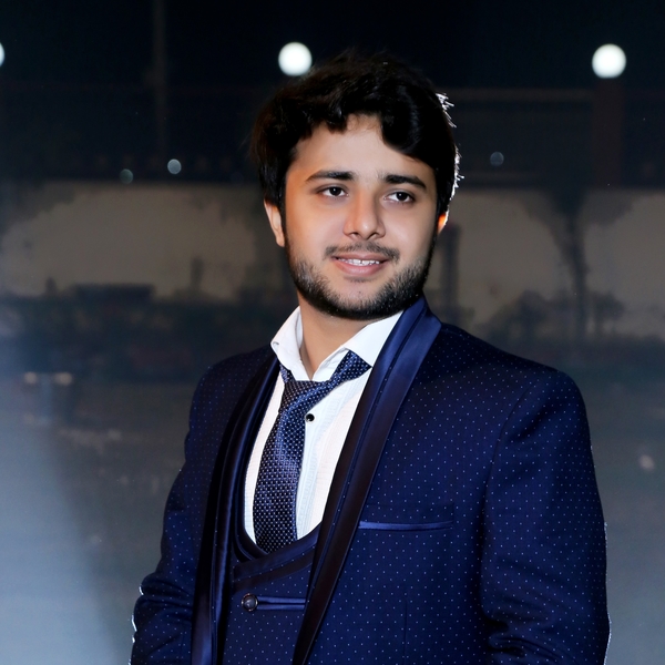 Hipul - Accounting tutor - Delhi