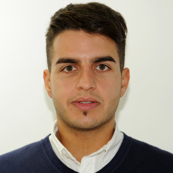 Domenico - Insegnante di excel - Roma