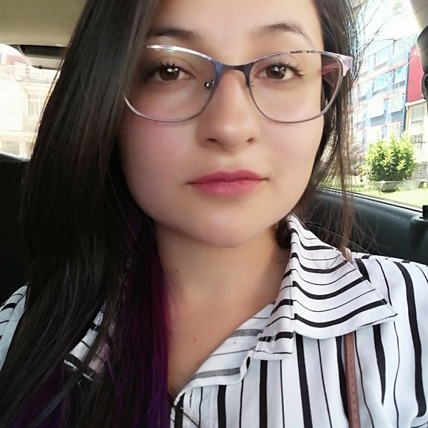Leidy - Profe de apoyo escolar - Bogotá