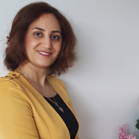 Safavi rizi