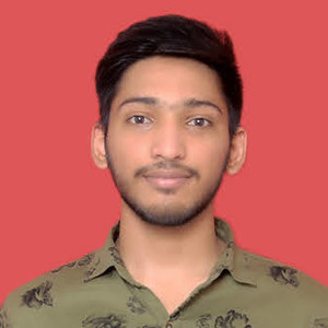 Amit - Maths tutor - Faridabad
