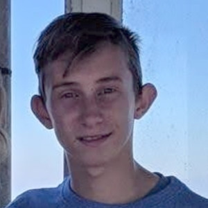 Henry - School English Tutor - White River