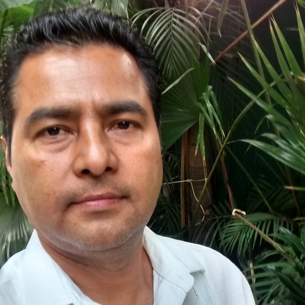 José - profesor de informática básica - Fraccionamiento Santa Cruz