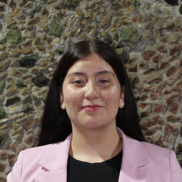 Nicole - Profesor de reforzamiento escolar - Viña del Mar
