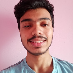 Sheikh - Accounting tutor - Mudbidri