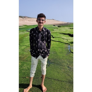 Maulikkumar - Physics tutor - Bagasara