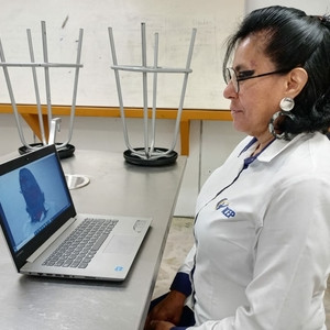 Beposaa - profesor de química - Uruapan