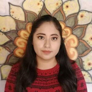Paulina Victoria - profesor de química - Ecatepec de Morelos