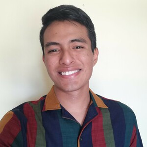 Bladimir - Profesor de matemática - Tixtla de Guerrero