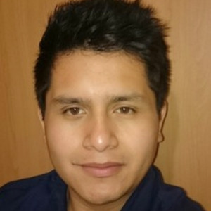 Miguel Ángel - Profesor de matemáticas - Querétaro
