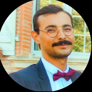 Tanguy - Prof de droit constitutionnel - Toulouse