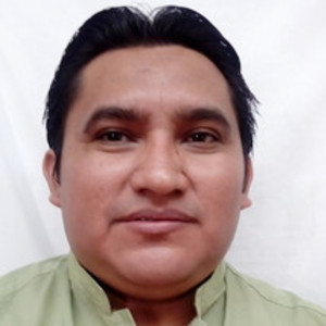 R David - Profesor de contabilidad - Mérida