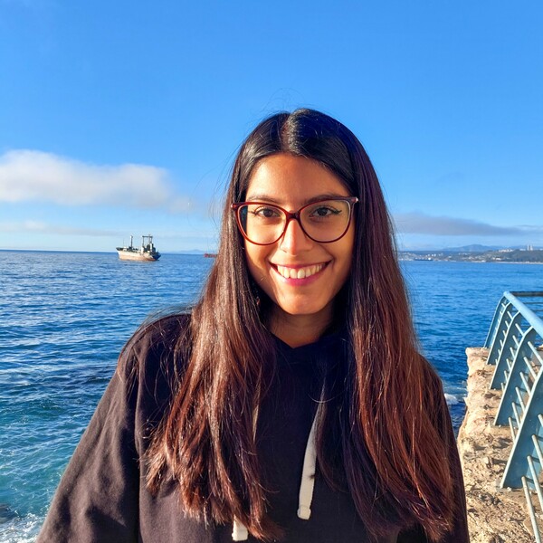Camila - profesor de matemáticas - Rancagua