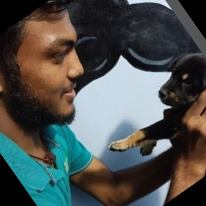 Kasi - Mathematics tutor - Chennai