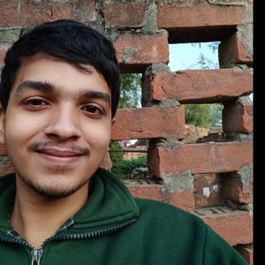 Vikas - Mathematics tutor - Mumbai
