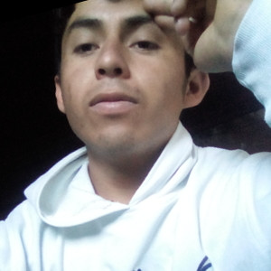 Everardo - profesor de matemáticas - 
