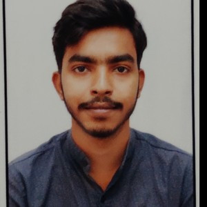 Biswajit - Mathematics tutor - Jamshedpur