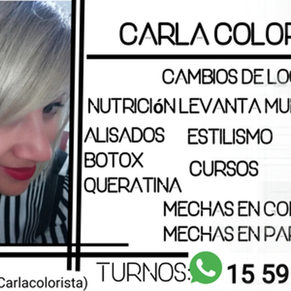 Carla - tutor académico - Pablo Nogués