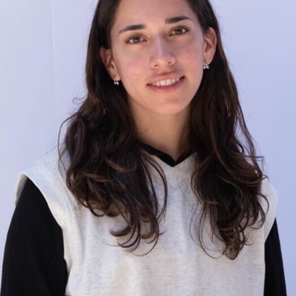 Constansa - profesor de matemáticas - Santiago
