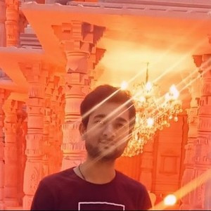Mayank Singh - Maths tutor - New Delhi
