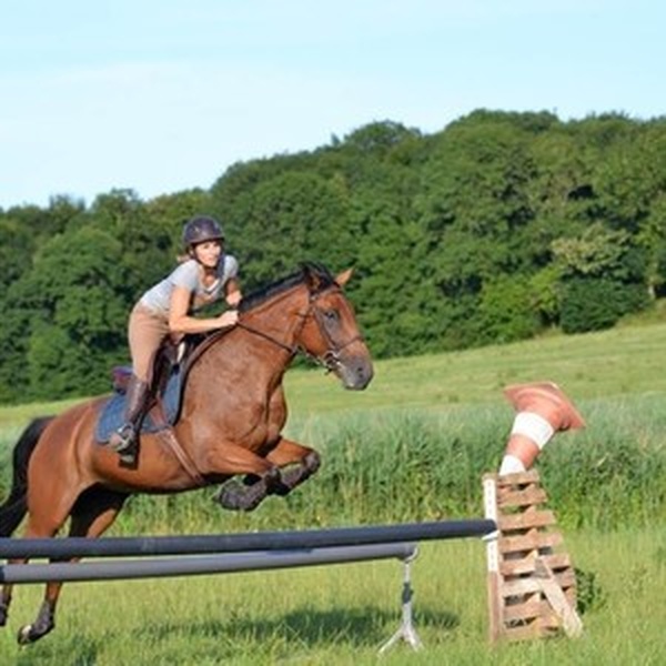 Solenne - Prof d'équitation - Rennes
