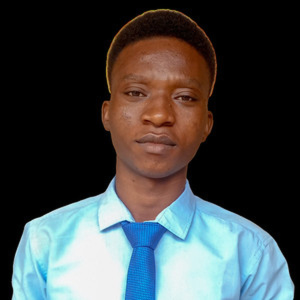 Kayode - Maths tutor - New York