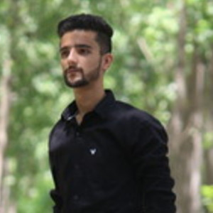 Ravia - Mathematics tutor - Ludhiana