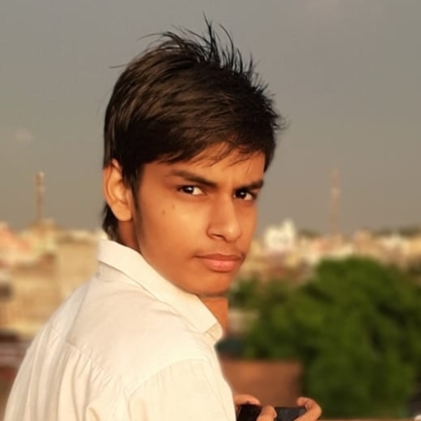 Vivek - Computer programming tutor - Gwalior