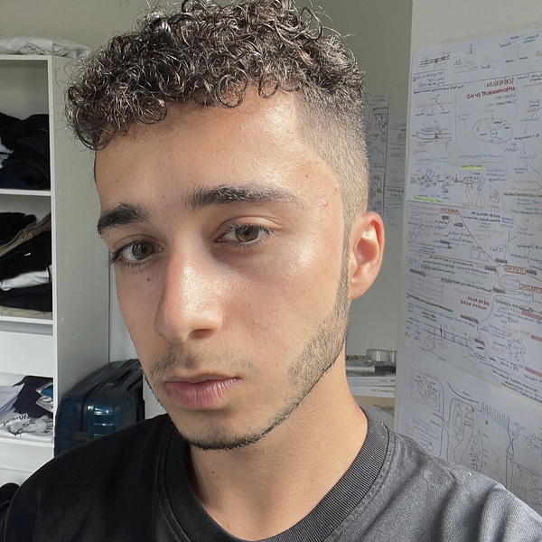 Tarek - Prof de statistiques - Boulogne-Billancourt