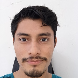 Robe - tutor académico - Mérida