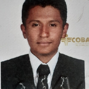 Luis - tutor académico - Heroica Puebla de Zaragoza