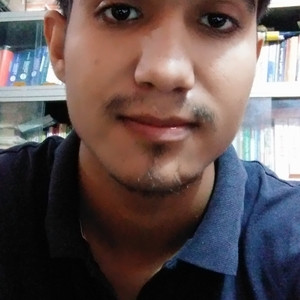 The untrained - Maths tutor - Lucknow