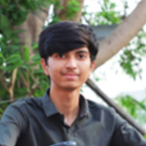 Mohit - Chemistry tutor - Wankaner
