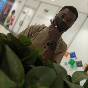Amos - Computer programming tutor - Lekki