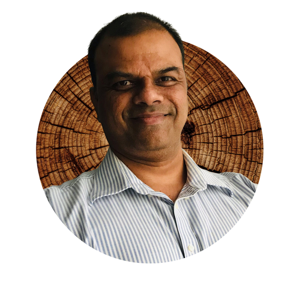 Sundar - Data analysis tutor - Mississauga