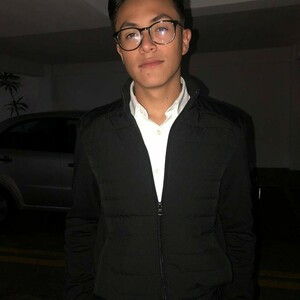 Diego - profesor de reforzamiento académico - Ciudad de México