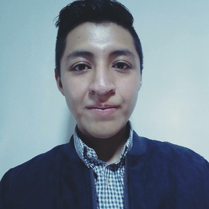 Natanael - profesor de reforzamiento académico - Santiago de Querétaro