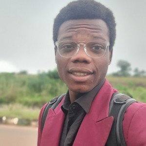 John - Maths tutor - Nsukka