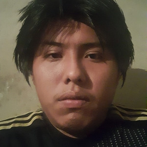 THE - tutor académico - Hueyapan de Ocampo