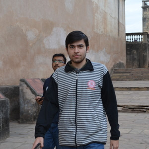Nitin - Maths tutor - Chicago