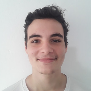 Guilherme - Prof de programação - 