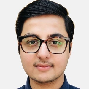 SHUBHAM - Maths tutor - New Delhi