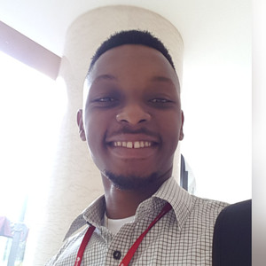David - Computer programming tutor - Alakahia
