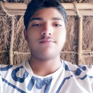 Raj - Mathematics tutor - Bhopal