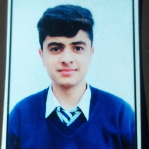 Aryan - Mathematics tutor - Jammu